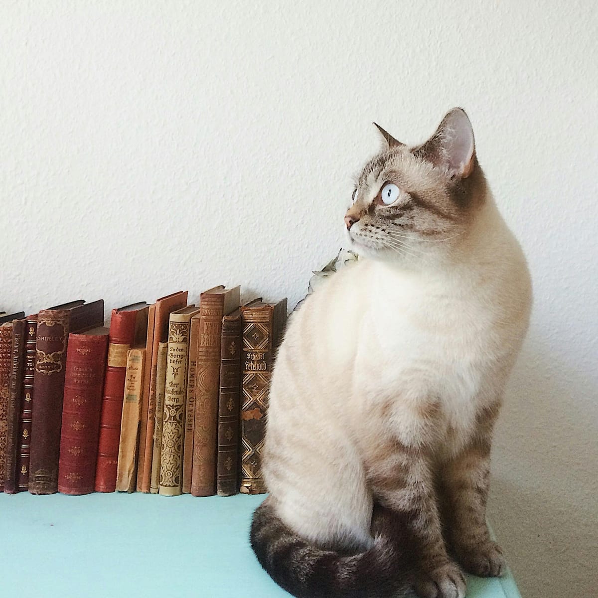 JuanDelaCruz_99 avatar