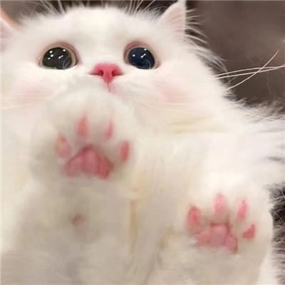 PinoyGamer_2024 avatar